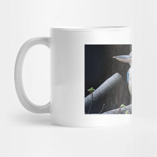 Blue winged kookaburra Mug